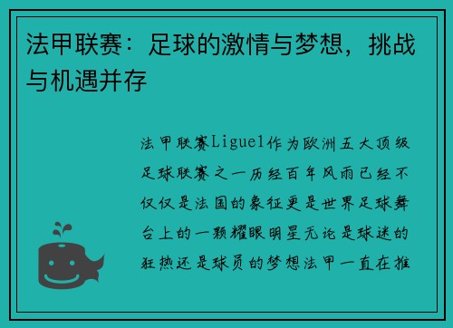 法甲联赛：足球的激情与梦想，挑战与机遇并存
